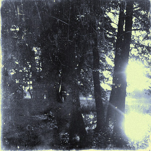 everything by austin haney