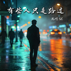 有些人只是路过 by 沈川 SC
