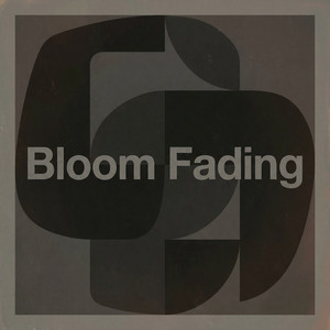Bloom Fading by Rover Moon