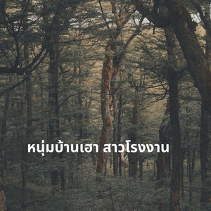 ดอกอ้อ ทุ่งทอง ดำ ดัสกร - หนุ่มบ้านเฮา สาวโรงงาน