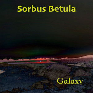 Sorbus Betula - Android (Extended Version)