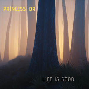 life is good by princess dr