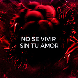 DjMaikeltk - No Se Vivir Sin Tu Amor
