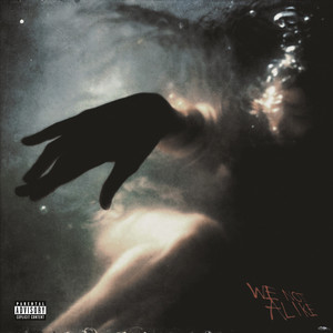 We Not Alike by Skino