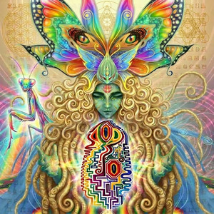 You Are Love You Are Light by Shanin Blake