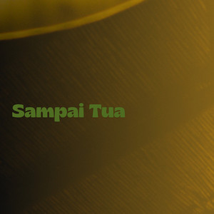 Esmebiz - Sampai Tua