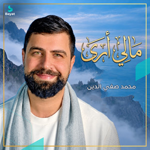 مالي أرى by محمد صفي الدين