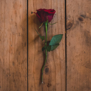 Killercats - Love Story (Instrumental Version)