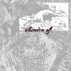 hydrangea by absence of