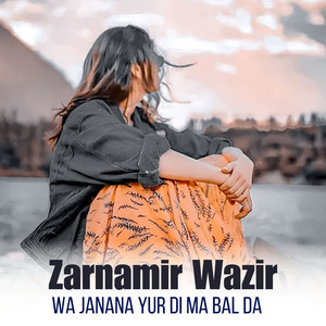 Zarnamir Wazir - Wa Janana Yur Di Ma Bal Da