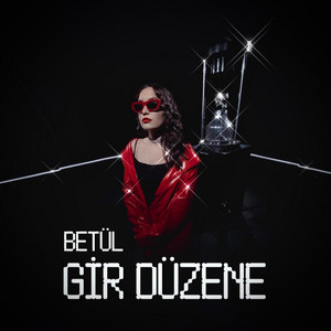 Gir Düzene