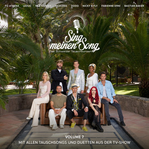 All die Büecher - Aus "Sing Meinen Song, Vol. 7"