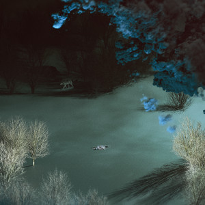 Death of the Wolf by PEUR