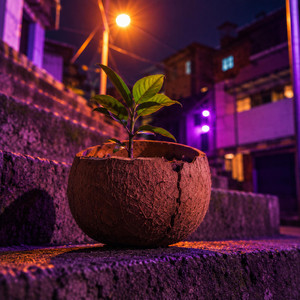 FENDA DO MURO by Axelnova