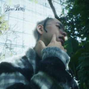 YELLASOMA - BoroBoro