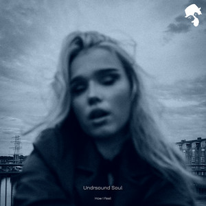 How I Feel by Undrsound Soul