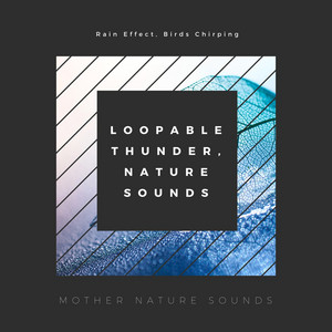 Loopable Thunder, Nature Sounds: Rain Effect, Birds Chirping, Underwater Sounds with Dolphins album