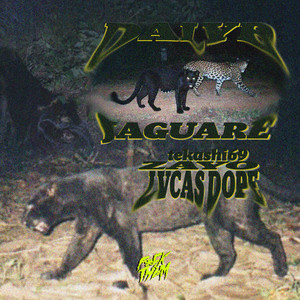 Jaguare (feat. Teka$Hi69, Zayo & Lvcas Dope) by Dalyb, Teka$Hi69, Zayo, Lvcas Dope