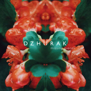 DZHURAK — Missing Pieces