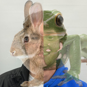 Bunny & Frog by Cole Myer, Todd Roberts