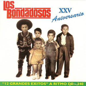 XXV Aniversario album