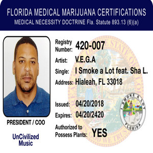 I Smoke a Lot by V.E.G.A, Sha L