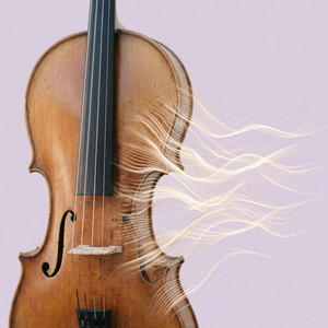 Velaria by ZAMACHEEL BU