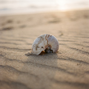 Time to Spare by Sindre Volden