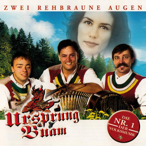 Die bunten Blumen von Madeira - song and lyrics by Ursprung Buam
