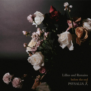 Lillies and Remains | Spotify