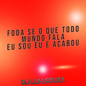 Dj Luh Souza - Foda Se o Que Todo Mundo Fala Eu Sou Eu e Acabou