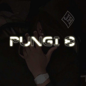 Pungi 8