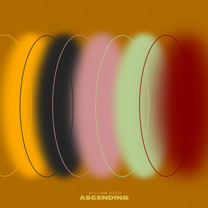Ascending by William Reed