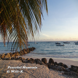 Peaceful Moments (Piano and Ocean Sound) by G. Will-K.