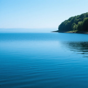 Sea Como Sea by Luppies FT