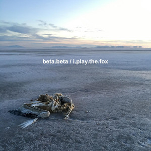 beta.beta