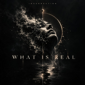 What Is Real by Insurrection