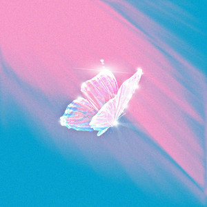 PATIENCE by Dave Solo