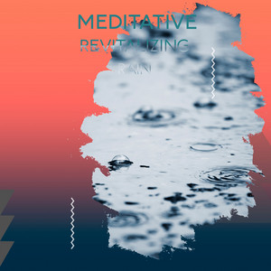zZz Meditative Revitalizing Rain zZz album