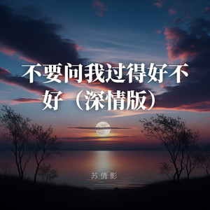 不要问我过的好不好（深情版） by 苏倩影
