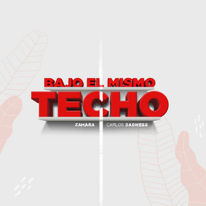 Bajo el Mismo Techo (feat. Zahara) by Carlos Sadness, Zahara