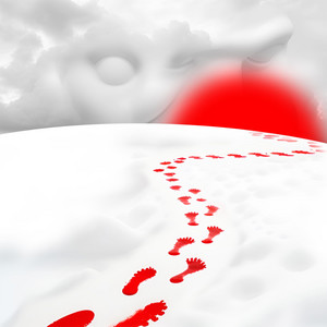 Sunglasses Big Enough to Hide