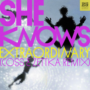 Extraordinary - coss x Zettka Remix by She Knows, Coss, Zettka