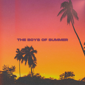 The Boys of Summer - Acoustic