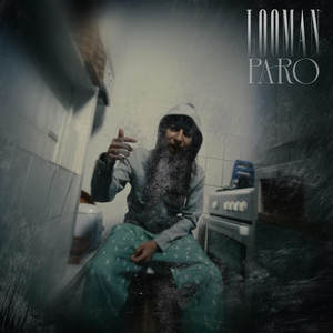 Paro by Loqman.