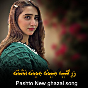 پښتو سندريزې - زړګيه صبرشه مینه مینه نشته  Zargiya mena mena nashte  پښتو غزل