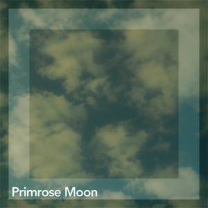 Quiet Shower by Primrose Moon