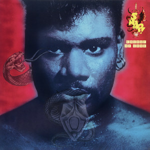 The Colour of Love - Smoove Version by SNAP!