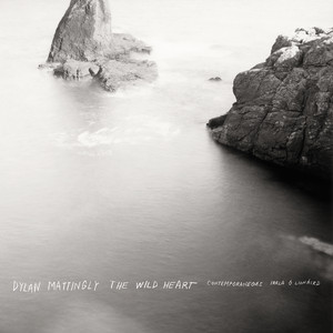 Contemporaneous — The Transmutation Notebooks: IV. Last Dance (2026)