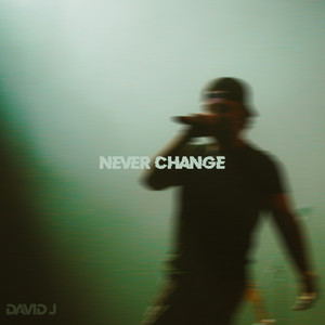 Never Change by David J